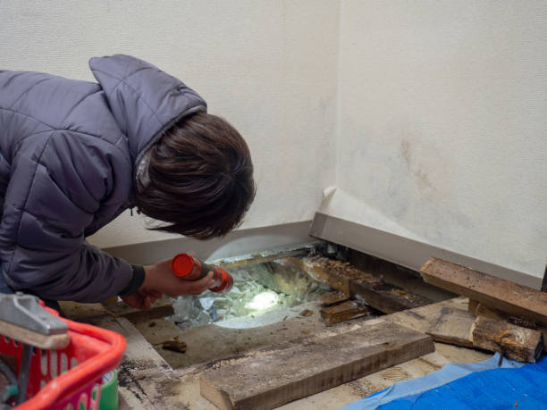Best Forensic Mold Investigation  in Saline, MI