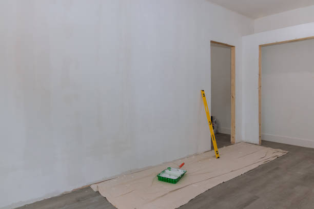 Best Flood Damage  in Saline, MI
