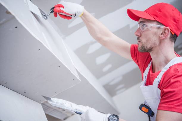 Best HVAC Mold Inspection and Cleaning  in Saline, MI