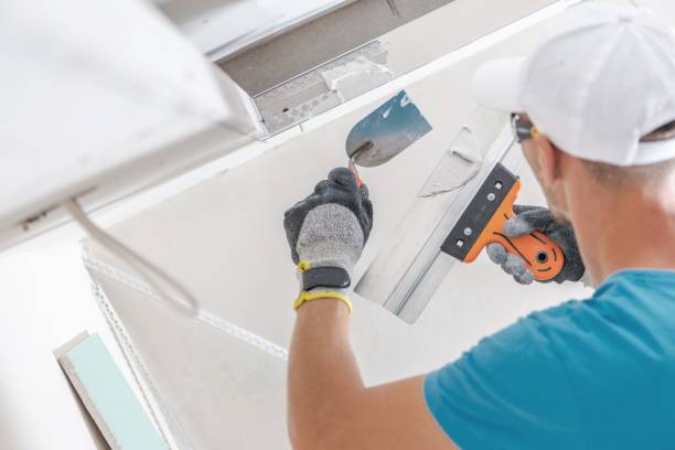 Trusted Saline, MI Mold Removal Experts